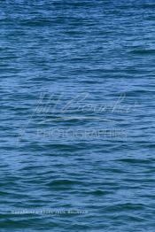 Image du Maroc Professionnelle de  Les vagues à la surface des mers (niveau zéro) sont créées par le vent, les ondulations formées sont une des représentation de la continuité de la vie qui ne connaît aucun repos. Photo prise au port de Laayoune, le 21 Septembre 2001. (Photo / Abdeljalil Bounhar)